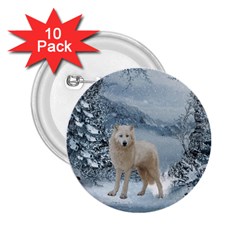 Wonderful Arctic Wolf In The Winter Landscape 2 25  Buttons (10 Pack)  by FantasyWorld7