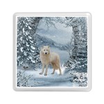 Wonderful Arctic Wolf In The Winter Landscape Memory Card Reader (Square) Front