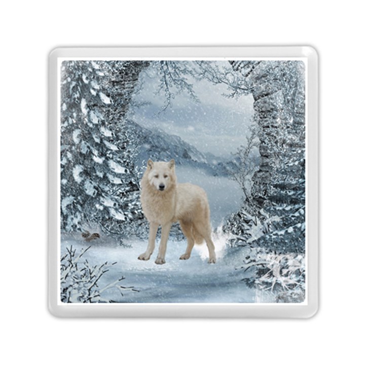 Wonderful Arctic Wolf In The Winter Landscape Memory Card Reader (Square)