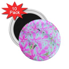 Hot Pink And White Peppermint Twist Flower Petals 2 25  Magnets (10 Pack)  by myrubiogarden