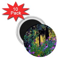 Hazy Morning Sunrise In My Rubio Garden 1 75  Magnets (10 Pack)  by myrubiogarden