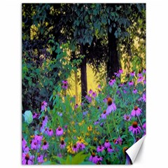 Hazy Morning Sunrise In My Rubio Garden Canvas 18  X 24  by myrubiogarden