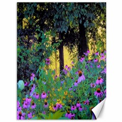 Hazy Morning Sunrise In My Rubio Garden Canvas 36  X 48  by myrubiogarden