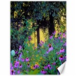 Hazy Morning Sunrise In My Rubio Garden Canvas 36  x 48  35.26 x46.15  Canvas - 1