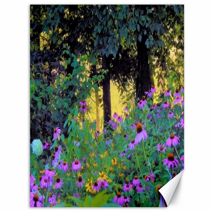 Hazy Morning Sunrise In My Rubio Garden Canvas 36  x 48 