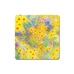 Pretty Yellow And Red Flowers With Turquoise Square Magnet by myrubiogarden