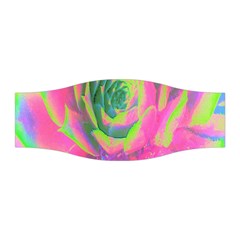 Lime Green And Pink Succulent Sedum Rosette Stretchable Headband by myrubiogarden