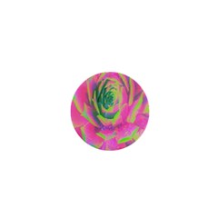 Lime Green And Pink Succulent Sedum Rosette 1  Mini Magnets by myrubiogarden