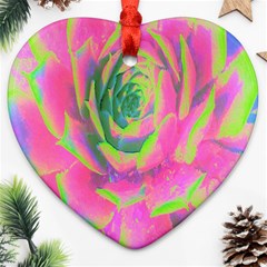 Lime Green And Pink Succulent Sedum Rosette Ornament (heart) by myrubiogarden