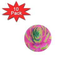 Lime Green And Pink Succulent Sedum Rosette 1  Mini Magnet (10 Pack)  by myrubiogarden