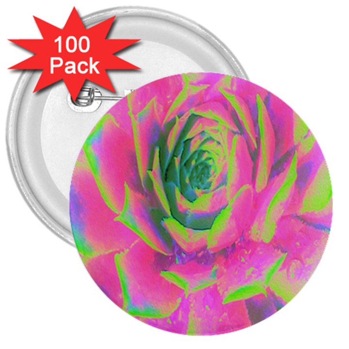 Lime Green And Pink Succulent Sedum Rosette 3  Buttons (100 pack) 