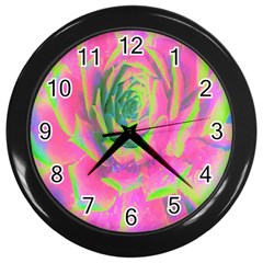 Lime Green And Pink Succulent Sedum Rosette Wall Clock (black) by myrubiogarden