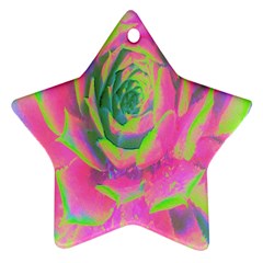 Lime Green And Pink Succulent Sedum Rosette Star Ornament (two Sides) by myrubiogarden