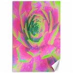 Lime Green And Pink Succulent Sedum Rosette Canvas 20  x 30  19.62 x28.9  Canvas - 1