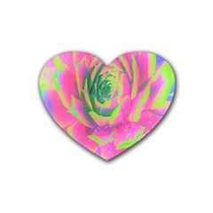 Lime Green And Pink Succulent Sedum Rosette Rubber Coaster (heart)  by myrubiogarden