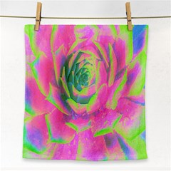 Lime Green And Pink Succulent Sedum Rosette Face Towel by myrubiogarden