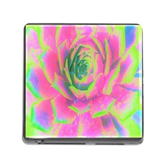 Lime Green And Pink Succulent Sedum Rosette Memory Card Reader (square 5 Slot) by myrubiogarden