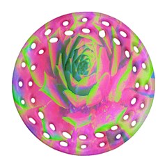 Lime Green And Pink Succulent Sedum Rosette Ornament (round Filigree) by myrubiogarden