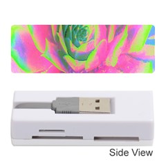 Lime Green And Pink Succulent Sedum Rosette Memory Card Reader (stick) by myrubiogarden