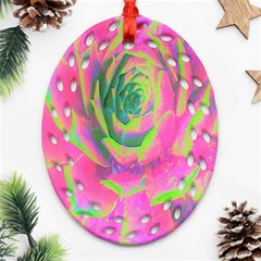 Lime Green And Pink Succulent Sedum Rosette Ornament (oval Filigree) by myrubiogarden