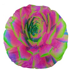 Lime Green And Pink Succulent Sedum Rosette Large 18  Premium Flano Round Cushions by myrubiogarden