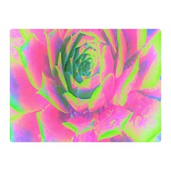 Lime Green And Pink Succulent Sedum Rosette Double Sided Flano Blanket (mini)  by myrubiogarden