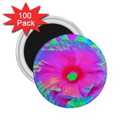 Psychedelic Pink And Red Hibiscus Flower 2 25  Magnets (100 Pack)  by myrubiogarden