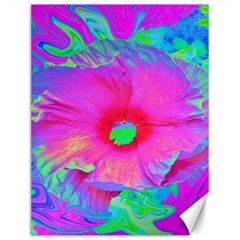 Psychedelic Pink And Red Hibiscus Flower Canvas 12  X 16  by myrubiogarden