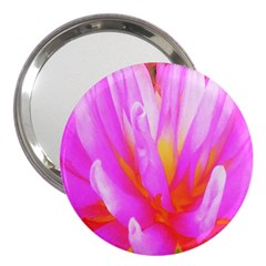 Fiery Hot Pink And Yellow Cactus Dahlia Flower 3  Handbag Mirrors by myrubiogarden