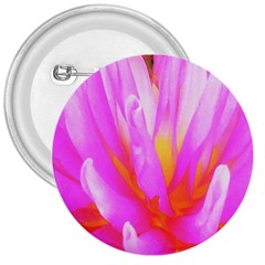 Fiery Hot Pink And Yellow Cactus Dahlia Flower 3  Buttons by myrubiogarden