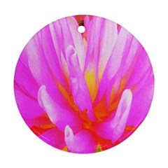 Fiery Hot Pink And Yellow Cactus Dahlia Flower Ornament (round) by myrubiogarden