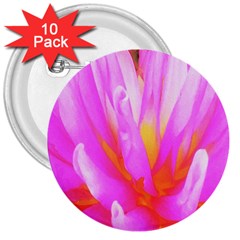 Fiery Hot Pink And Yellow Cactus Dahlia Flower 3  Buttons (10 Pack)  by myrubiogarden