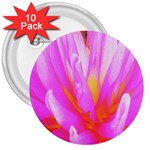 Fiery Hot Pink And Yellow Cactus Dahlia Flower 3  Buttons (10 pack)  Front