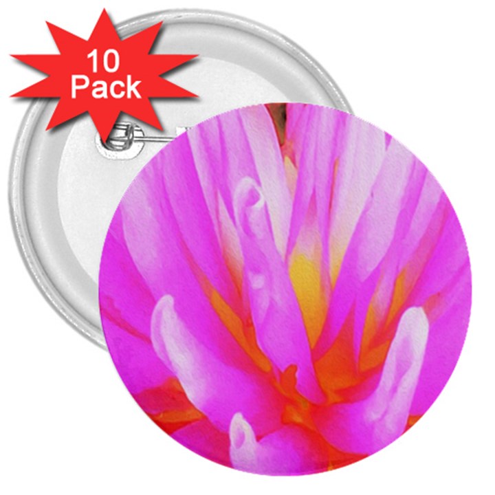 Fiery Hot Pink And Yellow Cactus Dahlia Flower 3  Buttons (10 pack) 