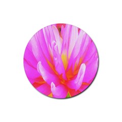 Fiery Hot Pink And Yellow Cactus Dahlia Flower Rubber Coaster (round)  by myrubiogarden