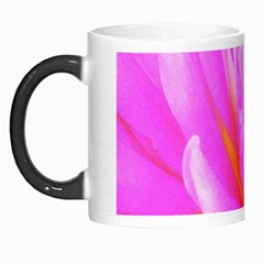 Fiery Hot Pink And Yellow Cactus Dahlia Flower Morph Mugs by myrubiogarden