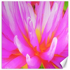 Fiery Hot Pink And Yellow Cactus Dahlia Flower Canvas 16  X 16  by myrubiogarden