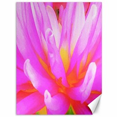 Fiery Hot Pink And Yellow Cactus Dahlia Flower Canvas 36  X 48  by myrubiogarden