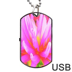 Fiery Hot Pink And Yellow Cactus Dahlia Flower Dog Tag Usb Flash (one Side) by myrubiogarden