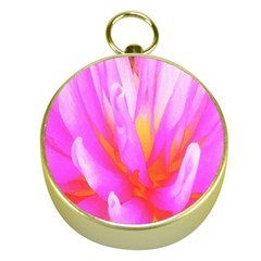 Fiery Hot Pink And Yellow Cactus Dahlia Flower Gold Compasses by myrubiogarden