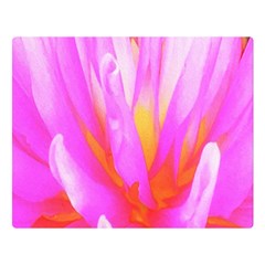 Fiery Hot Pink And Yellow Cactus Dahlia Flower Double Sided Flano Blanket (large)  by myrubiogarden