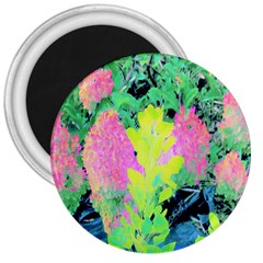 Fluorescent Yellow Smoke Tree With Pink Hydrangea 3  Magnets by myrubiogarden