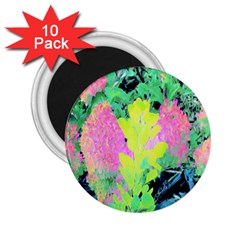 Fluorescent Yellow Smoke Tree With Pink Hydrangea 2 25  Magnets (10 Pack)  by myrubiogarden