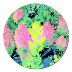 Fluorescent Yellow Smoke Tree With Pink Hydrangea Magnet 5  (round) by myrubiogarden