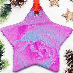 Perfect Hot Pink And Light Blue Rose Detail Ornament (star) by myrubiogarden