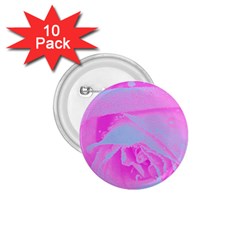 Perfect Hot Pink And Light Blue Rose Detail 1 75  Buttons (10 Pack) by myrubiogarden