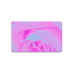 Perfect Hot Pink And Light Blue Rose Detail Magnet (name Card) by myrubiogarden