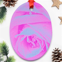 Perfect Hot Pink And Light Blue Rose Detail Oval Ornament (two Sides) by myrubiogarden