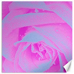 Perfect Hot Pink And Light Blue Rose Detail Canvas 12  X 12  by myrubiogarden