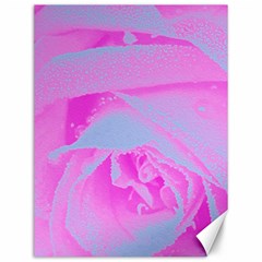 Perfect Hot Pink And Light Blue Rose Detail Canvas 12  X 16  by myrubiogarden